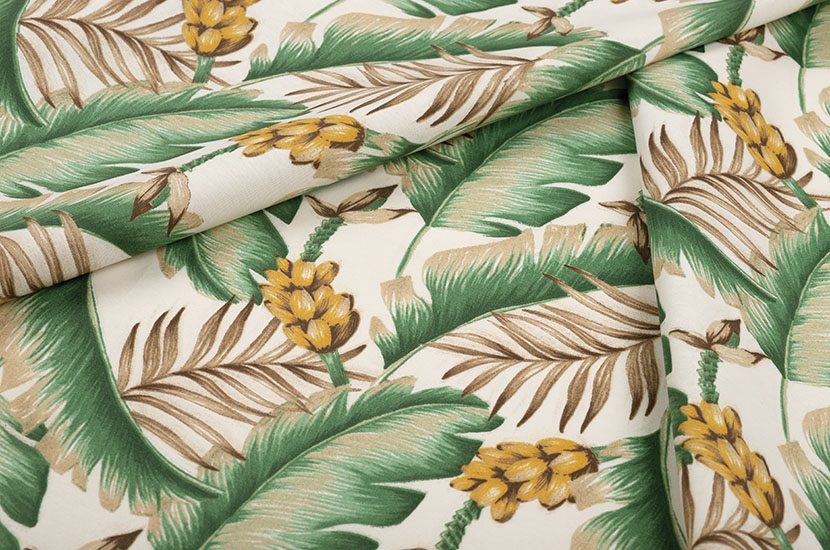 Bananeira Branco - Imagen 2