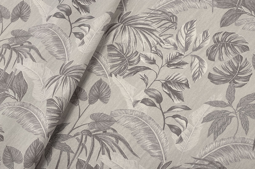 Bosque Cinza - Imagen 2