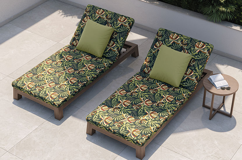 Monstera Ferrugem - Imagen 3